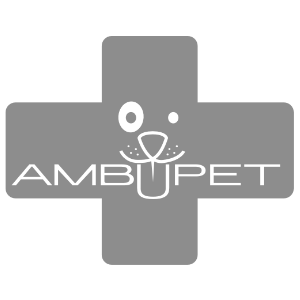 Ambupet
