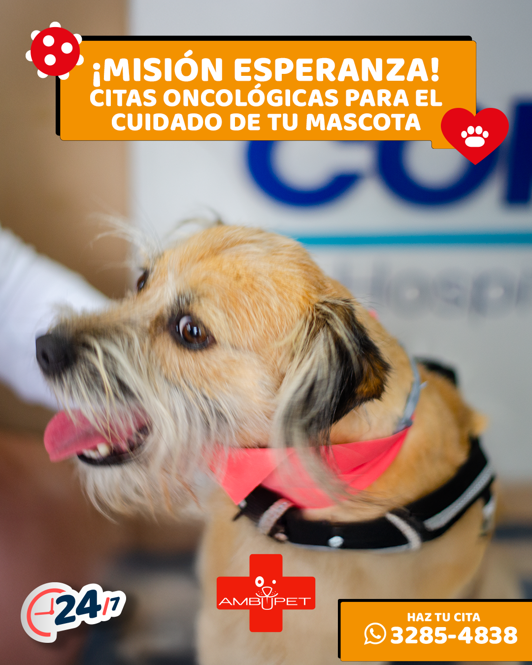 tetera y Ambupet